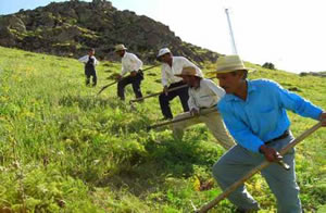 Kırsal Kalkınma Programı Komitesine Değişiklik