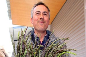 Kedirgen Tezgahlardaki Yerini Aldı