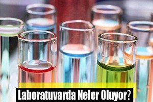 Okul Laboratuvarında Organik Tarım
