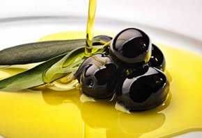 Zeytin Ve Zeytinyağı Dünyaya Ulaşacak