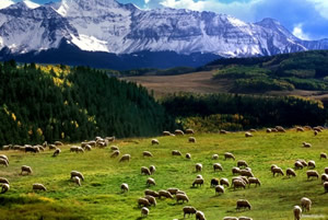 Batman da Meralar Islah Ediliyor