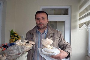 Evinin Odasında Doğal Mantar Yetiştiriyor