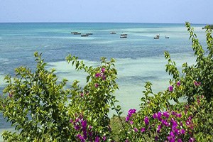 Ekolojik Denge Tehlikede