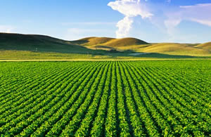 Tarım Arazilerinin Satışı İçin Yeni İmkan Getireceğiz