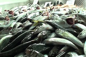 Türkiye 700 Milyon Dolarlık Su Ürünü İhraç Etti