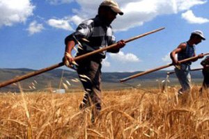 Çermik te Üreticilere 7 Milyon Lira Destekleme Verildi