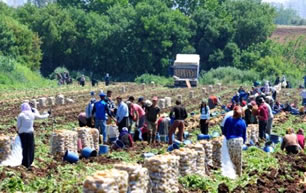 Silifke de Gezici Tarım İşçisi Ailelerinin Sorunları Masaya Yatırıldı