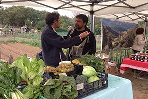 Sevilla da Bir Kent Bahçesi