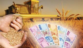 Tarıma Dayalı Yatırımlara Hibe Desteği