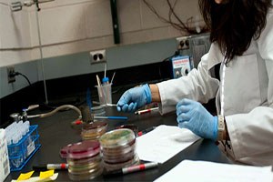 Türk Bilim Adamlarından Yeni Bitki Türü