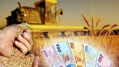 İyi Tarım Uygulamaları Destekleme Başvuruları Başladı