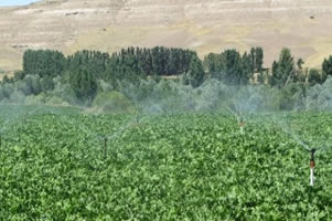 Sivas İl Özel İdaresi Tarım Sektörüne 55 Adet Proje Kazandırdı