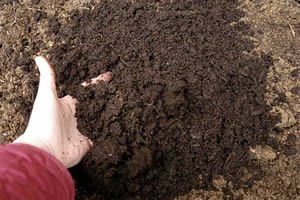 Toprağınızı Analiz Ettirmeden Gübre Kullanmayın