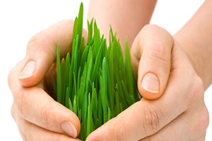 Yığılca da Çiftçilere Eğitim Verildi