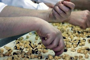 Fındık Fiyatındaki Düşüş Tedirgin Ediyor