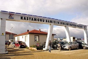 Kapatılan Hayvan Pazarları Besicileri Vurdu