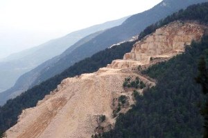 Taş Ocağı Katliamını Arılar Durduracak