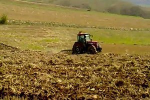 Yozgat ta 2 Milyon Dekar Nadas Alanı Bulunmaktadır