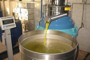 Zeytinyağının Kalitesi İçin 24 Saat Çalışıyorlar