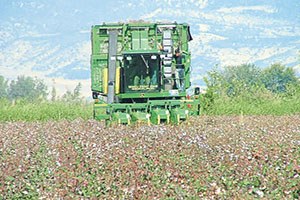 Çiftçi Beyaz Altına Dönüyor