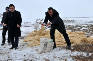 Yaban Hayvanlar İçin Doğaya Yem Bırakıldı
