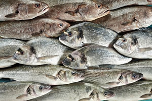 Dünya Tanıtımlar Sayesinde Türk Balıklarını Tüketiyor