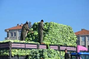 Kışlık Sebzeler Yüz Güldürüyor