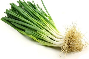 Yeşil Soğan Tarihi Bir Rekor Kırdı