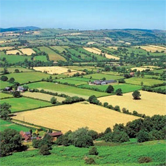 Nisanda Başlayacak Hazine Arazileri Satışı Üreticileri Sevindirdi