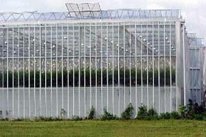 Elazığ a Doku Kültürü Laboratuvarı Ve Serası Kurulacak