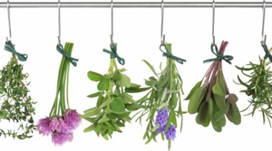 Tıbbi Ve Aromatik Bitki Yetiştiriciliğine 50 Geri Ödemesiz Hibe