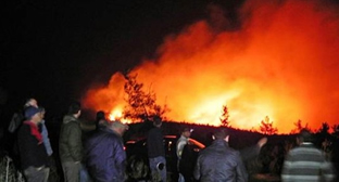 Marmaris te Orman Yangını