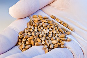 Mkü den Çiftçilere Yönelik Proje