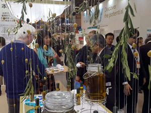 Türk Gıda Ürünleri Japonya da Yoğun İlgi Gördü