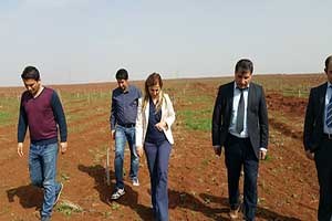 Elbeyli`de Sertifikalı Fıstık Üretilecek