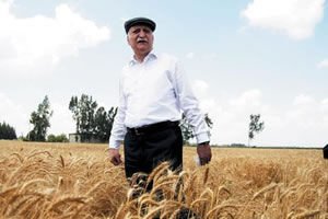 Tarım Arazilerine Kıyım Yapıldı