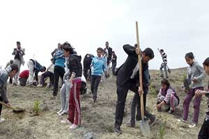 Manisalı Kadınlar İki Bin Badem Fidanını Toprakla Buluşturdu