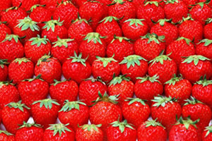 Beyaz Altın Diyarında Kırmızı Çilek Devri