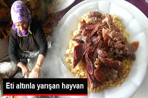 Kaz Eti Altınla Yarışıyor