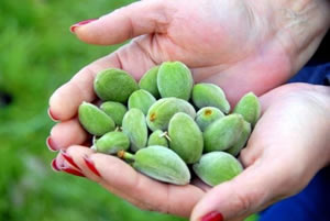 15 Liradan Tezgahta Yerini Aldı