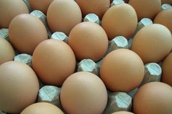 Tam 5 Milyon Adet Bozuk Yumurta Ele Geçirildi