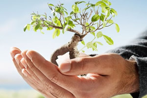 Tarım Sigortasına İlgi Her Geçen Gün Artıyor