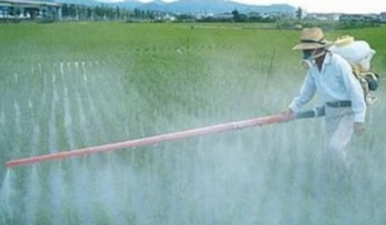 Yunanistan a Kaçak Götürülecek Tarım İlaçları Yakalandı