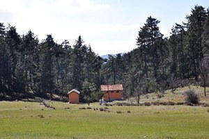 Bakan Çelik ten Bursa nın Kırsal Kalkınma Projelerine Destek
