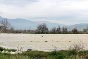 Yaz Patatesine Don Olaylarına Karşı Elyaf Önlemi