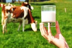 Süt Piyasasına Müdahaleyi Sanayiciler de Desteklemeli