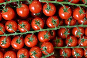 Çürük Domates Alternatif Enerji Kaynağı