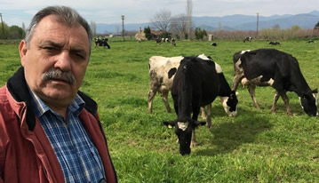 `ESK, Günlük Bin 500 Ton Süt Toplayacak`