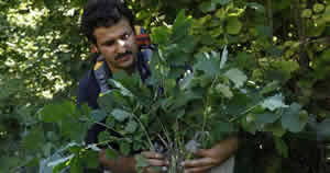 Bu Süt Kuş Sütü Kadar Değerli