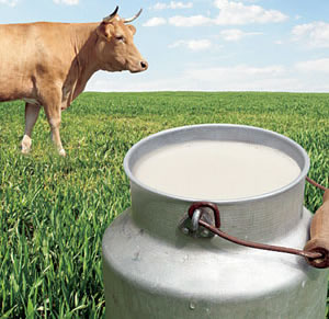 Süt Üreticileri İçin Yeni Bir Dönem Başladı